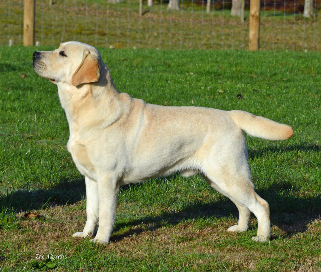 CROFTSWAY  PLAY  TIME